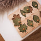 QToys Australia Leaf puzzle